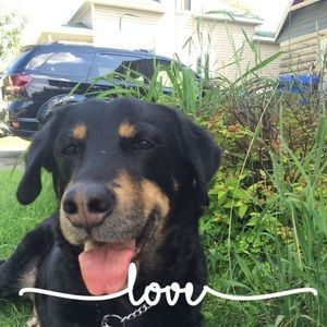 Meet your Posher, Sandra